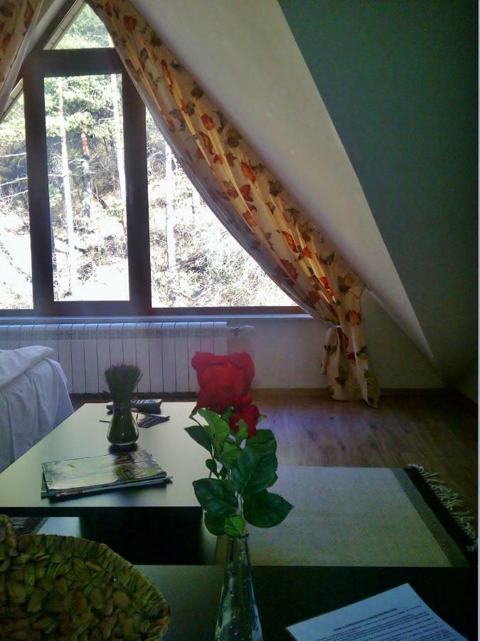 Vila Rila Samokov Exterior foto